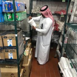 خادم الحرمين الشريفين يهنئ رئيسة جمهورية سلوفاكيا بذكرى يوم الدستور لبلادها