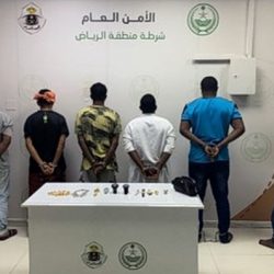 نحاتون: “معرض الصقور والصيد” تظاهرة تراثية ثقافية فنية