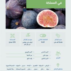 الحملات الميدانية المشتركة: ضبط (14750) مخالفاً لأنظمة الإقامة والعمل وأمن الحدود خلال أسبوع