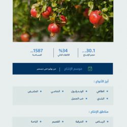 الزكاة والجمارك توضح اشتراطات السفر إلى الخارج بالمركبة