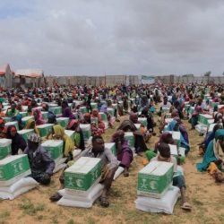 «دله البركة» تعلن أسماء المتأهلين لبرنامج «نوابغ المستقبل»