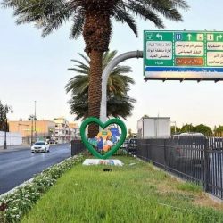 الامن السعودي يقبض على 4 أشخاص لتنفيذهم 17 عملية احتيال مالي إلكترونية