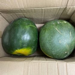 مستشار خادم الحرمين الشريفين أمير منطقة مكة المكرمة يستقبل سفراء دولة الكويت وفرنسا