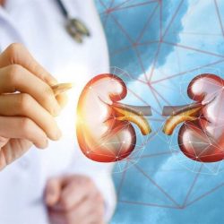 القوة الخاصة لأمن الطرق بمحافظة ضمد في منطقة جازان تقبض على مقيم لنقله في مركبته (10) مخالفين لنظام أمن الحدود