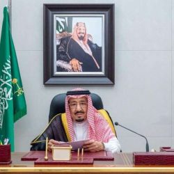 مبيعات مزاد نادي الصقور السعودي تتجاوز حاجز المليون و٦٠٠ ألف ريال