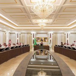 سمو أمير منطقة الجوف يستقبل المدير التنفيذي للمجلس الدولي للزيتون