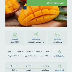 3 طواريح يكسبون 150 ألف ريال في الليلة الثالثة لمزاد نادي الصقور السعودي