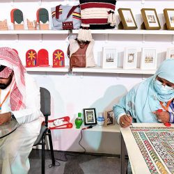 محافظ البدائع يتفقد ميدان سباقات القدرة والتحمل بالبدائع