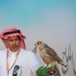 فيديو.. الهلال يهزم الطائي بثلاثية