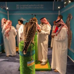 سمو ولي العهد يستقبل لاعبي المنتخب السعودي الأول لكرة القدم وأعضاء الجهازين الفني والإداري