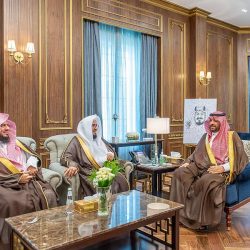 “البيئة” تنفذ أكثر من 53 ألف جولة لرصد وفرة المنتجات الغذائية والتأكد من التزام المنشآت خلال 3 أشهر