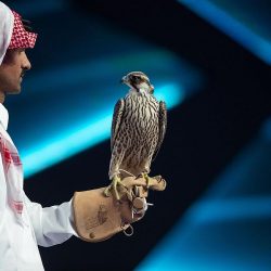 الحملات الميدانية المشتركة: ضبط (17255) مخالفاً لأنظمة الإقامة والعمل وأمن الحدود خلال أسبوع