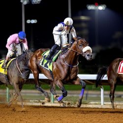 حالة الطقس المتوقعة اليوم السبت