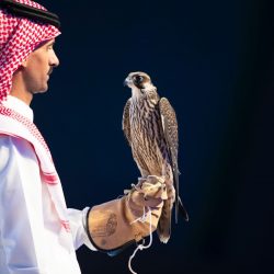 ترقية الاستاذ أمين عبدالله يحيى يعقوب حمدي إلى المرتبة السادسة ببلدية مركز السهى