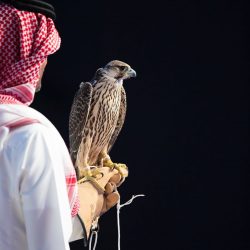 #وزارة_الخارجية تطلق خدمة الحصول على التأشيرة الإلكترونية لدخول المملكة لحاملي بطاقة مشجع (هيّا) دون رسوم مالية.