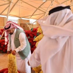 سمو محافظ الطائف يستقبل القنصل العام القطري