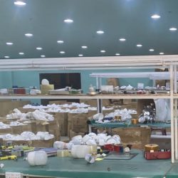 زراعة عسير تناقش تطوير زراعة “البن”