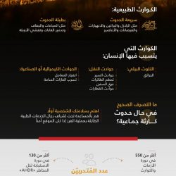 مباحثات سعودية نيجيرية حول القضايا الإقليمية والدولية