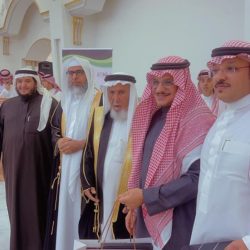 أمانة الطائف تعالج 20 ألف متر مربع من السفلته والترصيف بشوارع الطائف