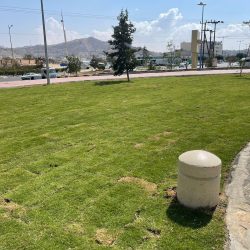 قد يسبب العمى.. “صحة الرياض” تحذر من النظر المباشر إلى الشمس خلال فترة الكسوف