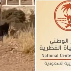 مدير عام مكافحة عدوى المنشآت الصحية يكرّم الزميلة أمل البشير 