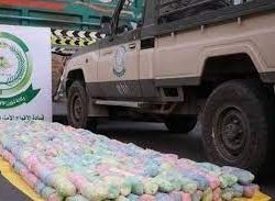 القوات الخاصة للأمن والحماية تضبط (4) مواطنين مخالفين لنظام البيئة في محافظة الوجه بمنطقة تبوك