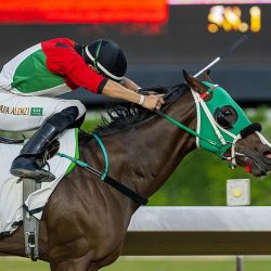 معرض ” فرسان .. الطبيعة والإنسان ” .. حرفيون يعرضون إسهاماتهم في الحفاظ على البيئة