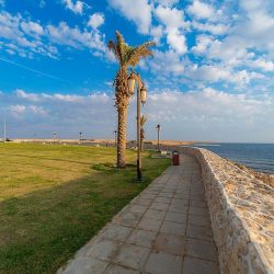 جامعة نجران تحتفي بالكليات الحاصلة على الاعتماد البرامجي