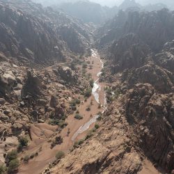 #السعودية تهزم #الأرجنتين بهدفين مقابل هدف بأولى مبارياتها في مونديال #قطر