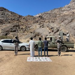 سمو ولي العهد يُطلق “سير” أول علامة تجارية سعودية لصناعة السيارات الكهربائية في المملكة