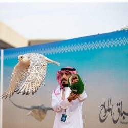 “بيئة إنتاج المشاهد”.. تفاصيل تُستعرض ضمن البرنامج العلمي بمهرجان “الإذاعة والتلفزيون”