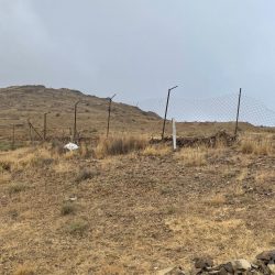 *هيئة الأمر بالمعروف بمركز الشعبة بمحافظة رفحاء تفعّل حملة “عليكم بسنتي” التوعوية بالتعاون مع بلدية الشعبة*