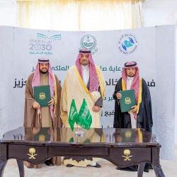 سريعة وذكية.. ما لا تعرفه عن كرة #مونديال 2022