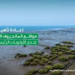 تنفيذ حكم القتل قصاصًا بأحد الجناة في أبها