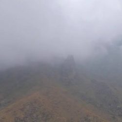 أمانة الطائف ترفع مؤشرات الاداء في تحسين المشهد الحضري