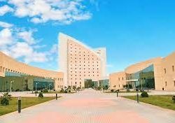 أمانة نجران تنجز 88% من المرحلة الثانية لأعمال مشروع منتزه الشرفة