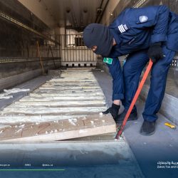 خادم الحرمين الشريفين يصدر أمرا ملكيا بترقية عددٍ من الأعضاء بالنيابة العامة