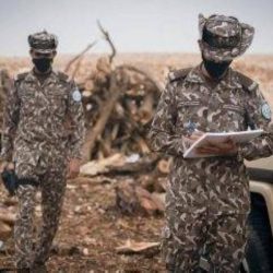 السديس : عدد المصلين في المسجد النبوي تجاوز الـ 81 مليون مصلٍ منذ بداية شهر محرم لهذا العام