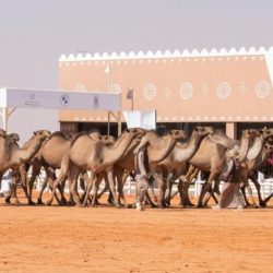وقف تعظيم الوحيين بالمدينة المنورة ينفذ برنامج “الأداء القرآني”