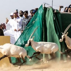 سمو أمير القصيم يستقبل الفائزات ببرنامج صوت الشباب