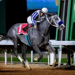 “مشهور الصفر ” يحصد المركز الأول في شوط مفاريد قعدان الصفر بمهرجان الإبل