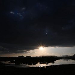 الفَرَسان “قربة” و “جنى” يحقِّقان كأس وزارة الدفاع وجائزة نادي سباقات الخيل