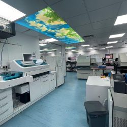 صحة الرياض تُنفّذ 1934 جولة رقابية للتأكد من تطبيق الإجراءات الاحترازية