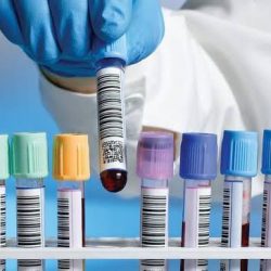 أسودُ الأطلسِ في نصفِ نهائي كأسِ العالم