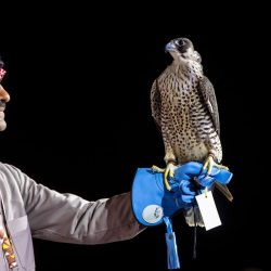 نورا المشاري : تفاءلت بشموخ وحققت الثاني طموحاتي لن تتوقف .. وكاس حائل للسهام ناجح