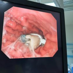 متحدث مهرجان الإبل: 800 ألف زائر للمهرجان.. ونجاح كبير لفعالياته على مختلف الأصعدة