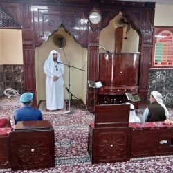 انطلاق تسجيل المشاركين في بطولة كأس موسم حائل للهجن