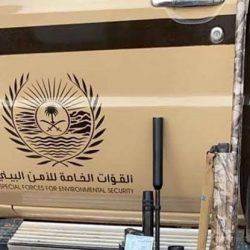 الدفاع المدني يدعو إلى توخِّي الحيطة لاحتمالية استمرار هطول أمطار رعدية على بعض مناطق المملكة