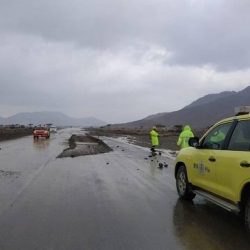 تخريج دورة “التدريب على آليات وتجهيزات الإطفاء والإنقاذ والصيانة” لعدد من منسوبي الدفاع المدني بجمهورية جيبوتي ..