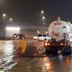 أمانة الشمالية تعالج 237,477 مترا من المسطحات الخضراء وتزرع 40,000 زهرة شتوية في لينة